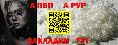 шишки Донской